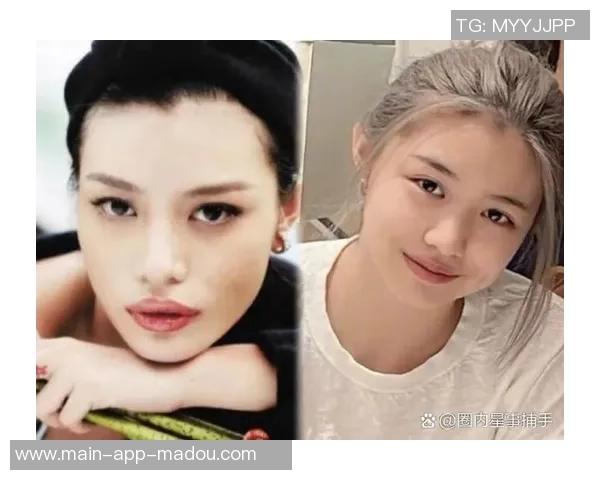 91和麻豆-91与麻豆，独特的交集与时尚风采-91和麻豆